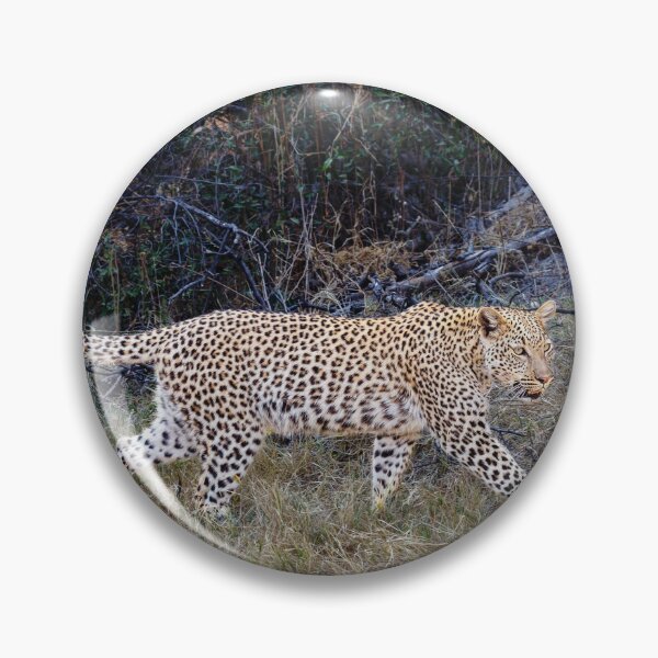 Item preview, Magnificent Leopard (Panthera pardus) designed and sold by Graham Prentice.