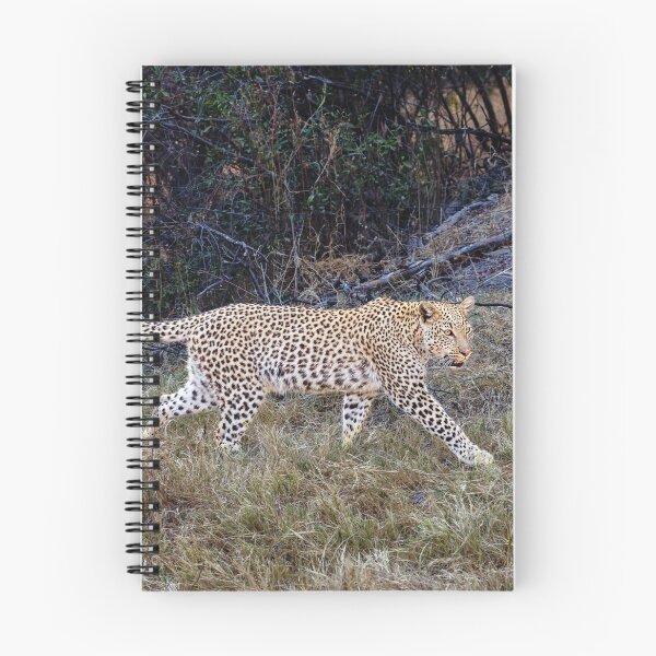 Item preview, Magnificent Leopard (Panthera pardus) designed and sold by Graham Prentice.