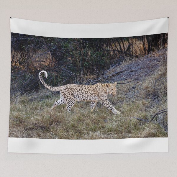 Item preview, Magnificent Leopard (Panthera pardus) designed and sold by Graham Prentice.