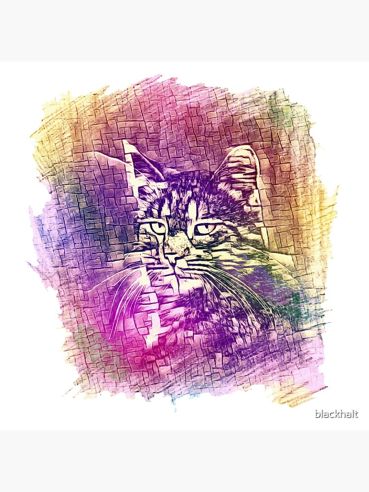 Cat by blackhalt