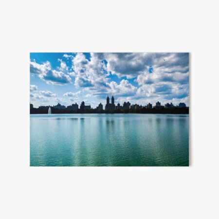 Artikel-Vorschau von Skyline von Manhattan, Central Park, New York City, designt und verkauft von eleonoraingrid.