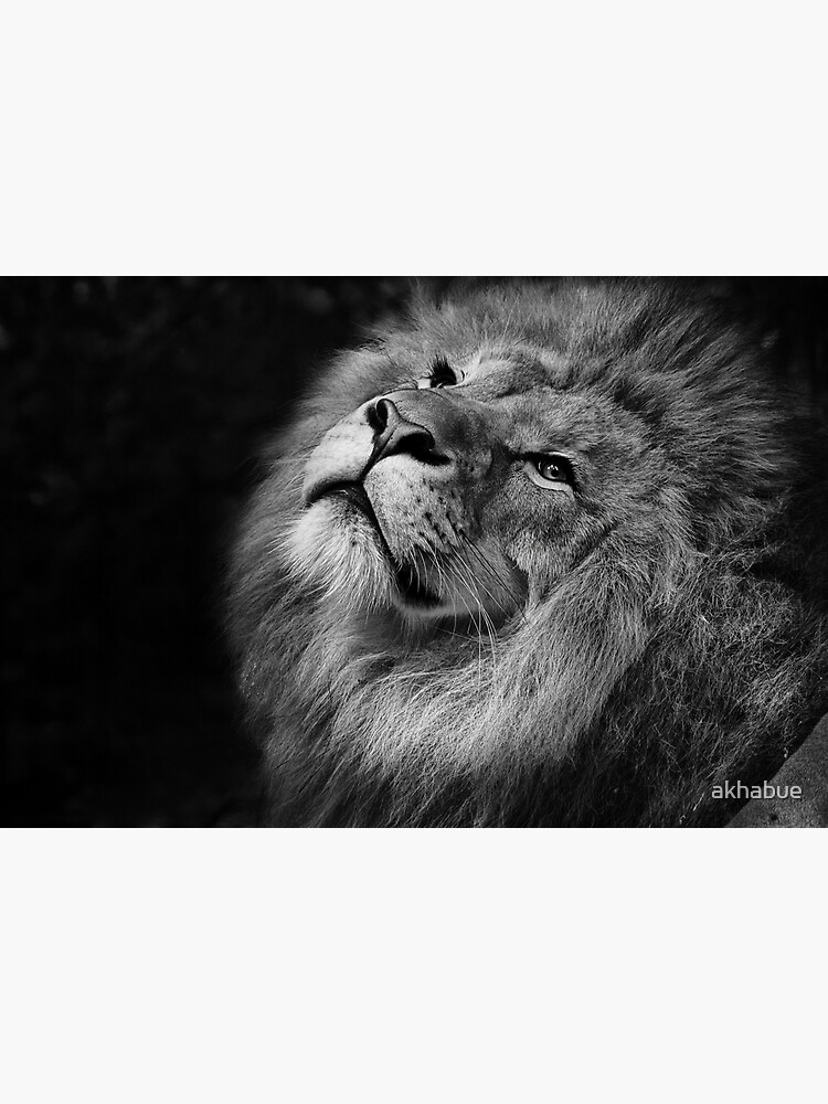 "king of the jungle" Poster for Sale by akhabue Redbubble