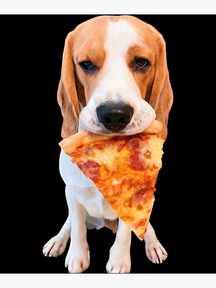 "Dog Eating A Pizza my dog ate a pizza slice " Poster for Sale by