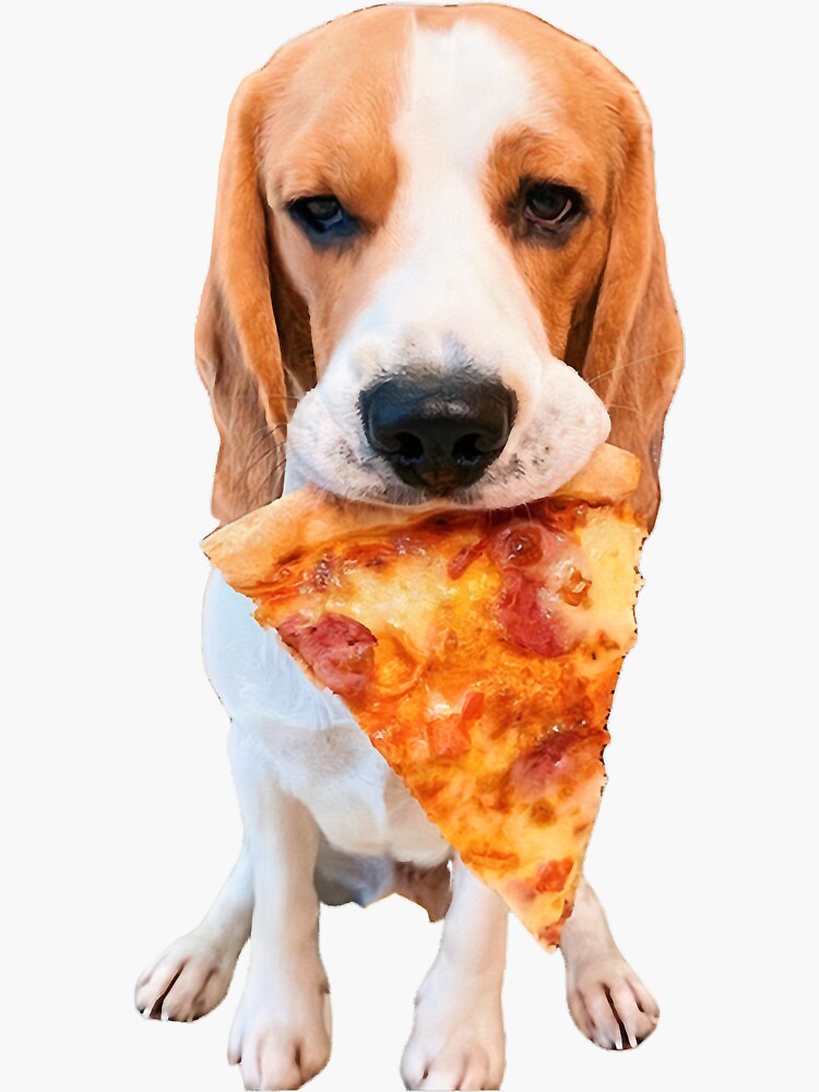 "Dog Eating A Pizza my dog ate a pizza slice " Sticker for Sale by