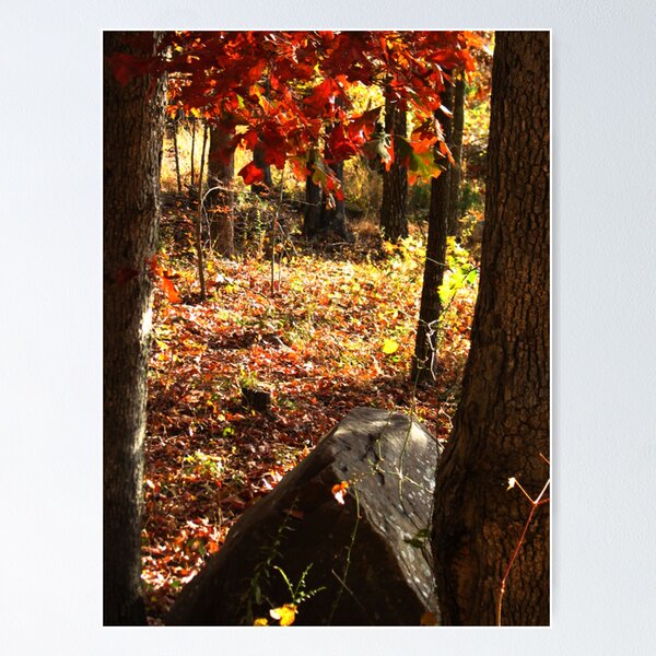 Item preview, A Quiet Place designed and sold by Bradley Sumner.