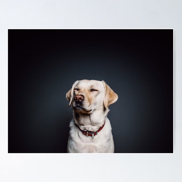 Item preview, Happy dog designed and sold by NoscopeSiv.