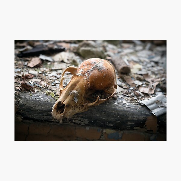 Item preview, Beauty is Mysterious designed and sold by Marissa Mancini.
