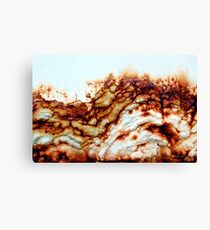 Rocky Cliffs Canvas Print