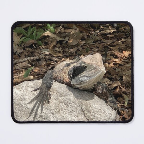 Item preview, Wonderful Waterdragon designed and sold by KazM.
