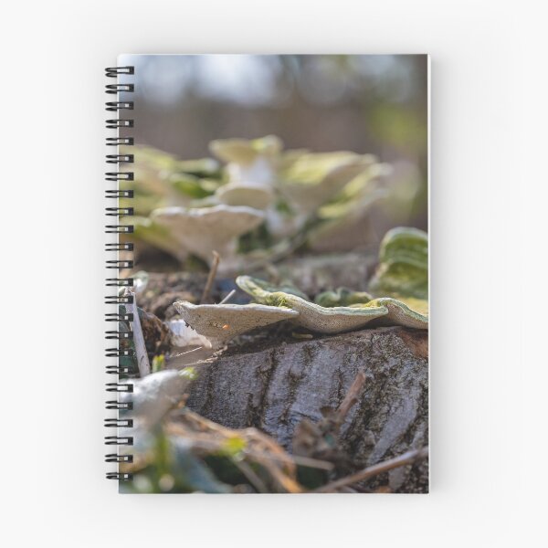 Item preview, Mushrooms on tree trunk designed and sold by OskiOnTour.