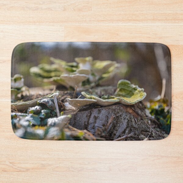 Item preview, Mushrooms on tree trunk designed and sold by OskiOnTour.