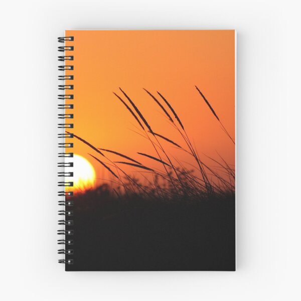 Item preview, Sunset 8188 designed and sold by João Castro.