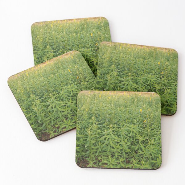 Item preview, sunn hemp in thailand designed and sold by March Rider.