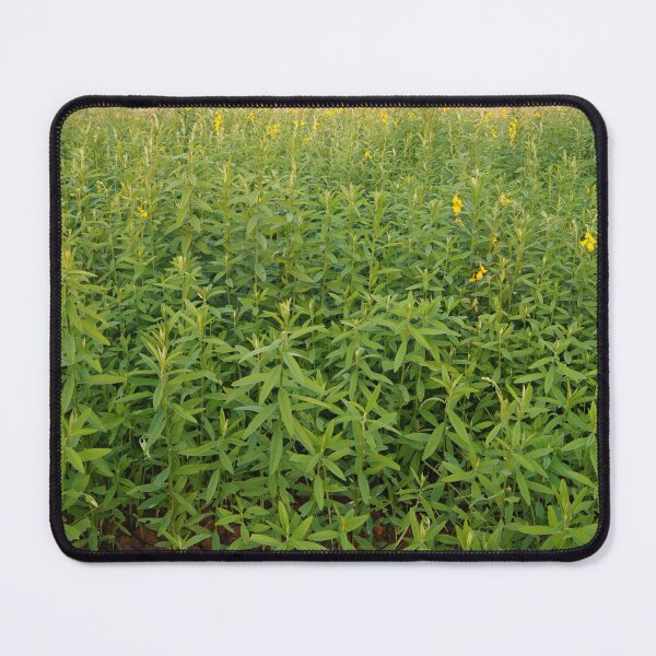 Item preview, sunn hemp in thailand designed and sold by March Rider.