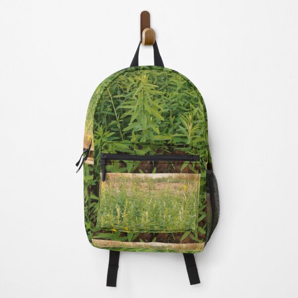 Item preview, sunn hemp in thailand designed and sold by March Rider.