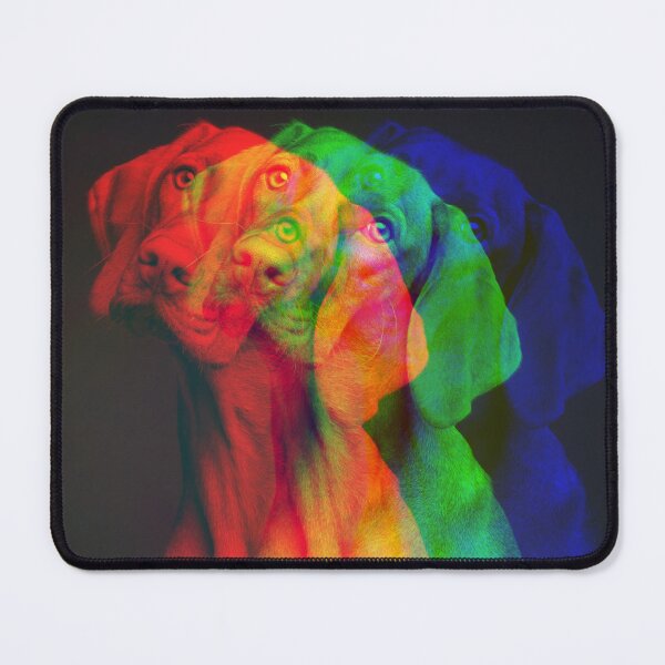 Item preview, Rainbow Dog designed and sold by CrossThunder.