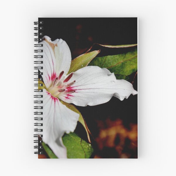 Item preview, Painted Trillium IV designed and sold by Kathleen Daley.