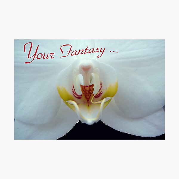 Your Fantasy... Photographic Print