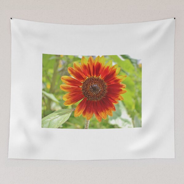 Item preview, Firecracker Flower designed and sold by Cynthia48.
