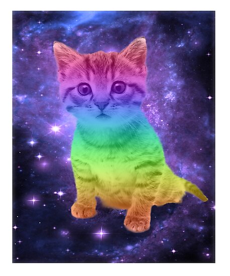  Rainbow  Space Cat  Outer Space Kitten Photographic Prints 