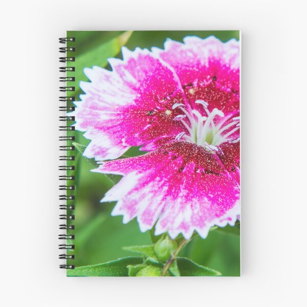 Item preview, Pink flower designed and sold by outspokenlib.