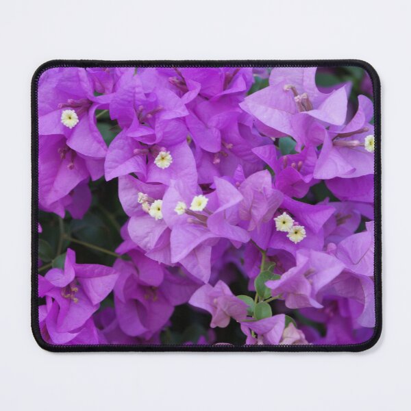 Item preview, purple bougainvillea designed and sold by March Rider.