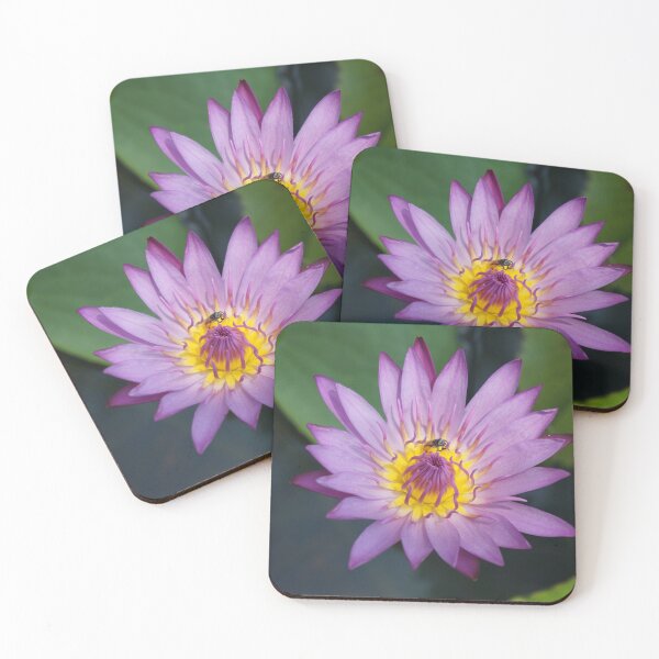 Item preview, beautiful pink lotus flowers designed and sold by March Rider.