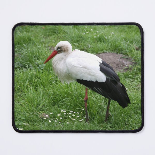 Item preview, Stork & Daisies designed and sold by LPYLPhotography.