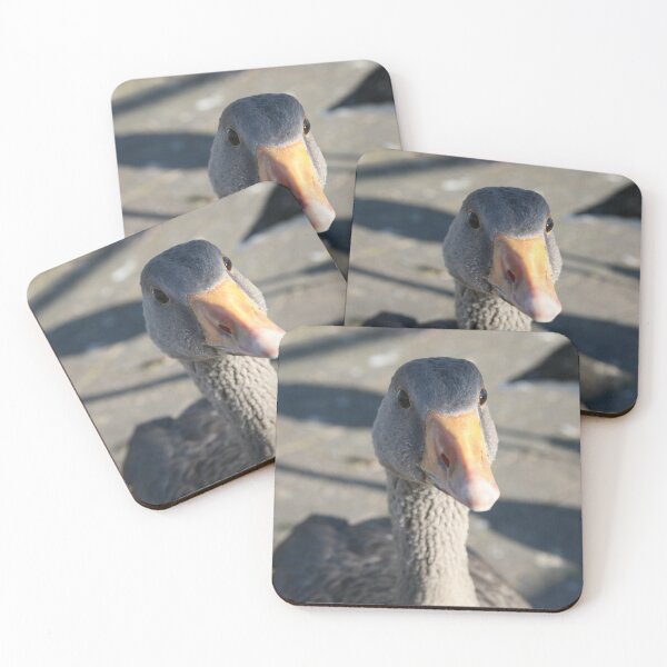 Item preview, Feed Me! designed and sold by LPYLPhotography.