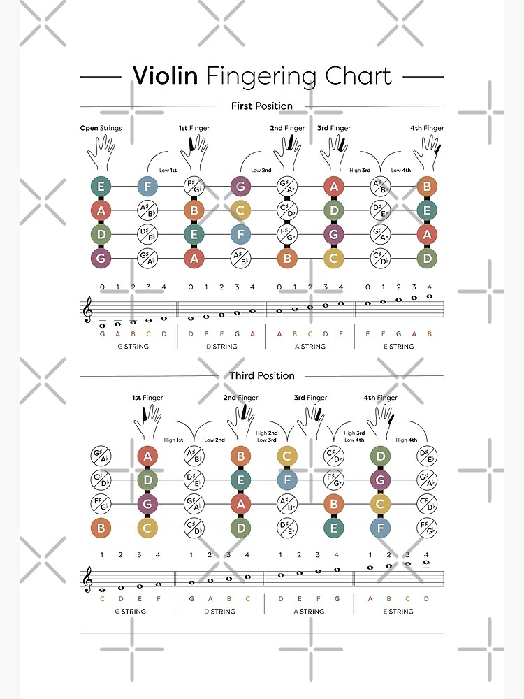 "Violin Finger Position Chart" Poster for Sale by pennyandhorse | Redbubble