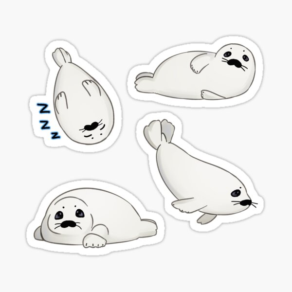 "Baby harp seals" Sticker for Sale by makkio Redbubble