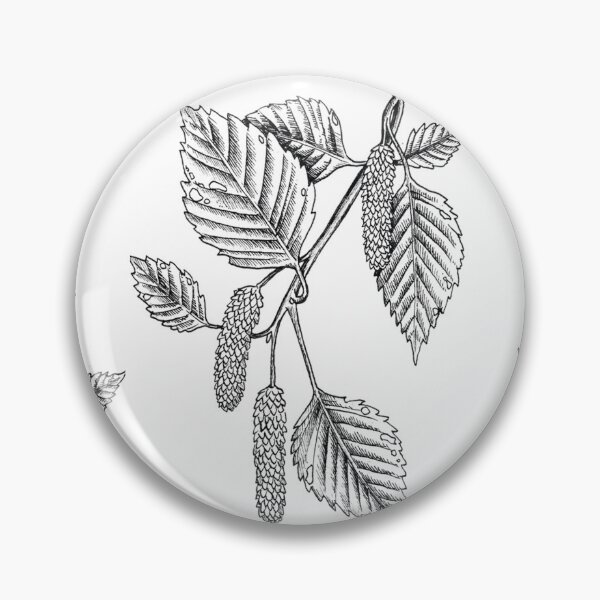 Item preview, Hazelnut - drawing - illustration - botany - pattern designed and sold by ShenysArt.