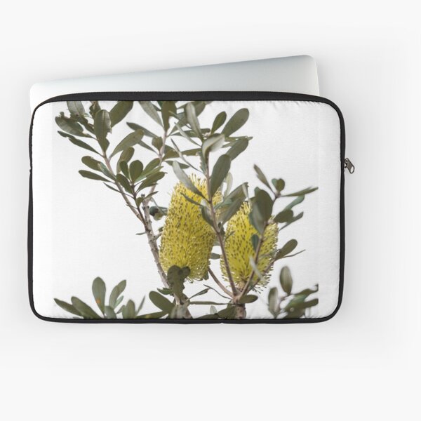 Banksia SYD02 Laptop Sleeve