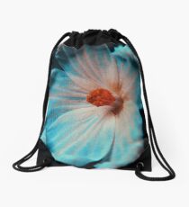 3953 Drawstring Bag