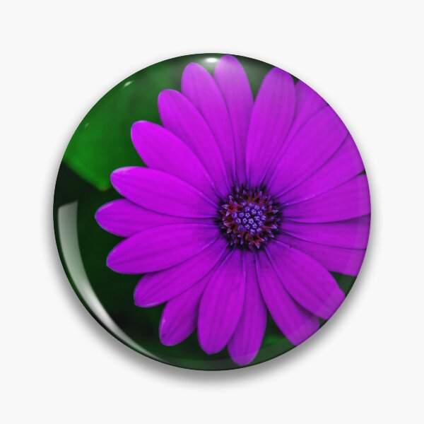 Item preview, Purple Flower at White Hills Botanical Garden designed and sold by Steven Jodoin.
