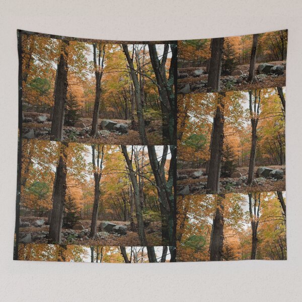 Item preview, Autumn Wilderness designed and sold by Zohar Lindenbaum.