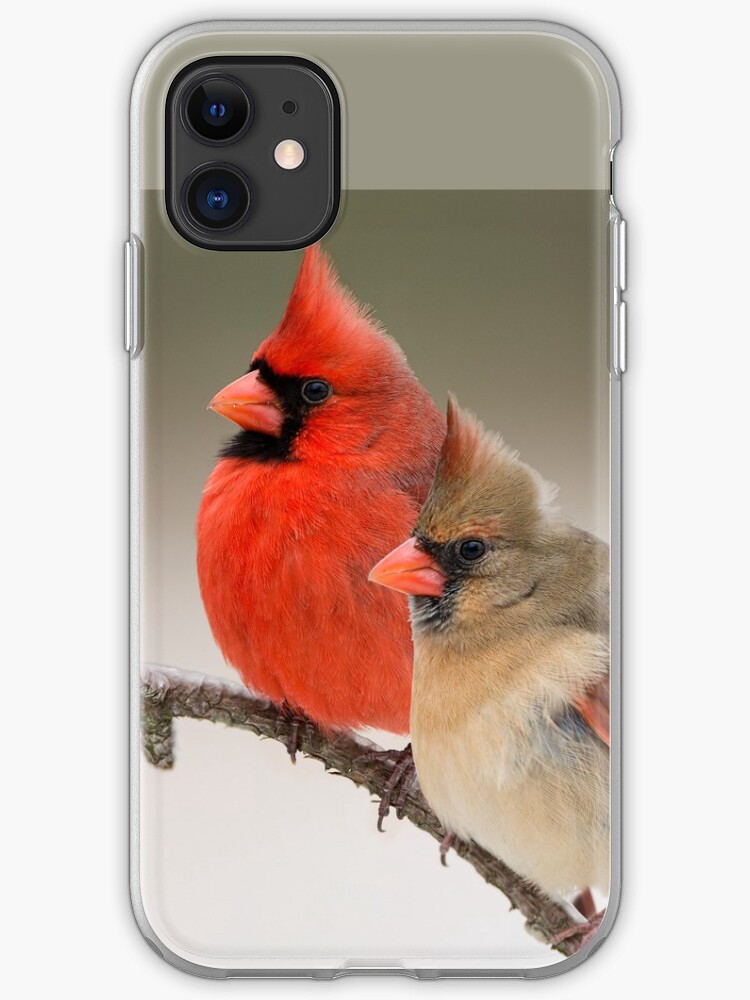 Cardinals iPhone 11 case Cardinals iPhone 11 case