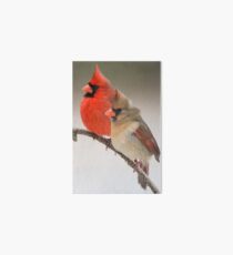 Northern Cardinal Pair on Pine Branch Art Board