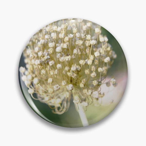 Item preview, Garlic Flower Head in Dappled Sunlight designed and sold by imaginethis.
