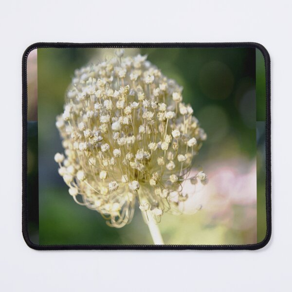 Item preview, Garlic Flower Head in Dappled Sunlight designed and sold by imaginethis.