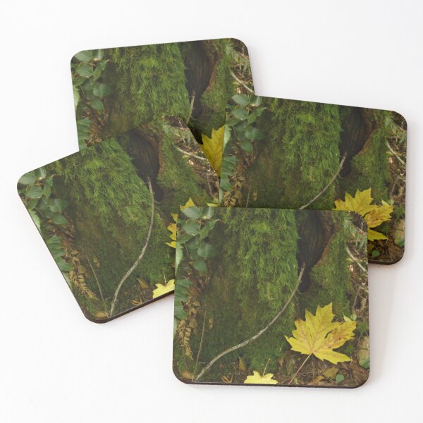 Item preview, Autumn in the Rain Forest designed and sold by Elaine Bawden.