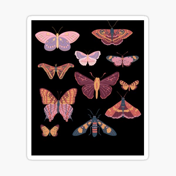 Polyphemus Moth Sticker — Andrea Dingeldein