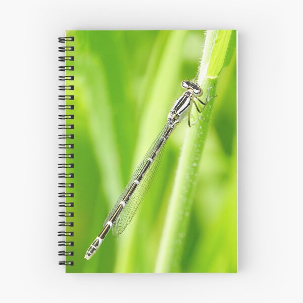 Item preview, White-Legged Damselfly “ designed and sold by Richard Couchman.