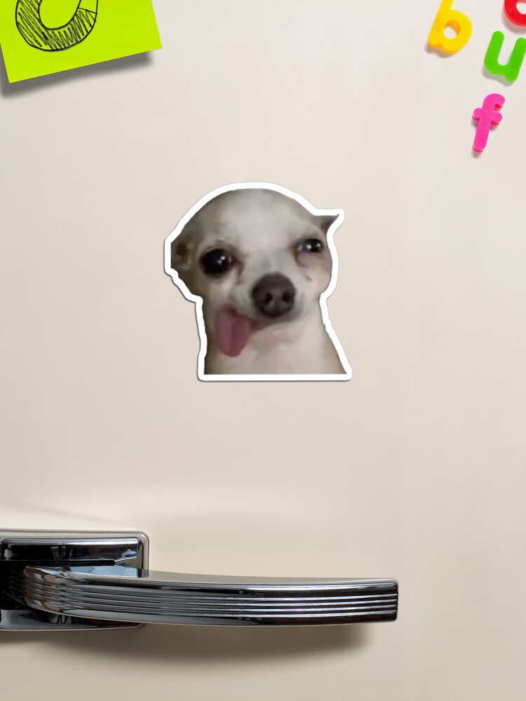 HOT Dog Face Funny Tik Tok Dog Hey Hey Tik Tok Dog Meme