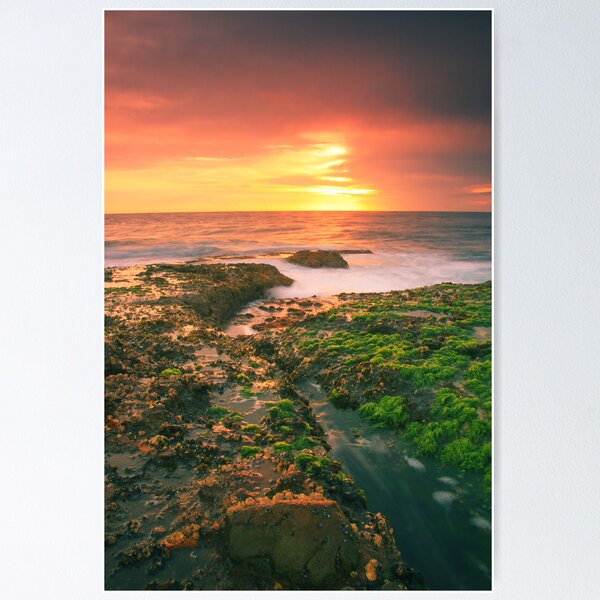 Item preview, Out To Sea designed and sold by Joel  Haldane.