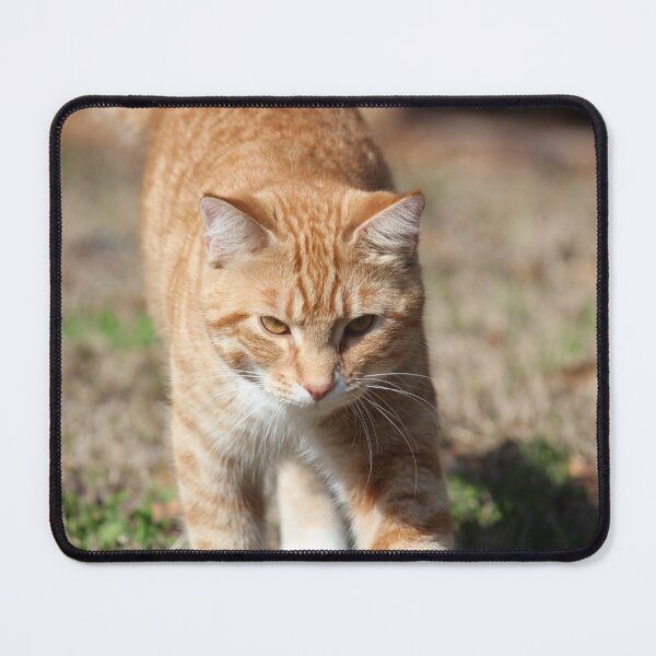 Item preview, Coming to Get You designed and sold by DebbieCHayes.