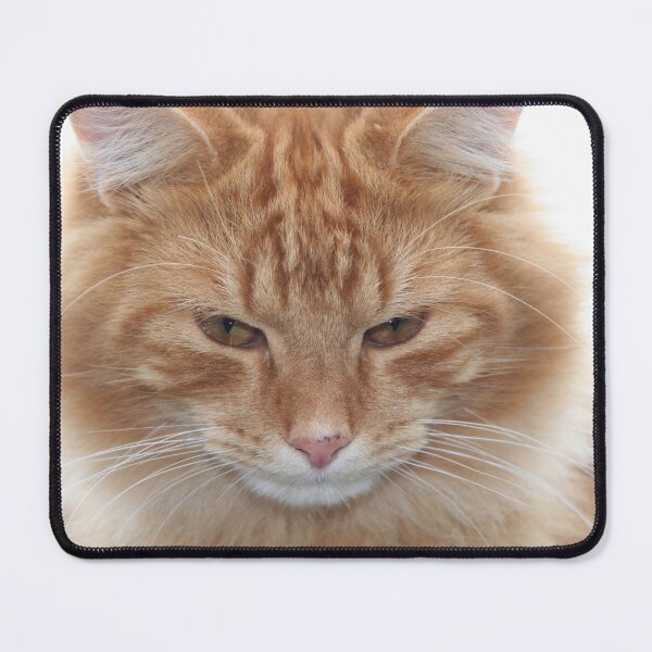 Artikelvorschau, Orange Tabby entworfen und verkauft von DebbieCHayes.