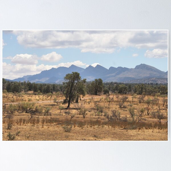 Item preview, Wilpena Pound, Flinders Ranges designed and sold by Carole-Anne.