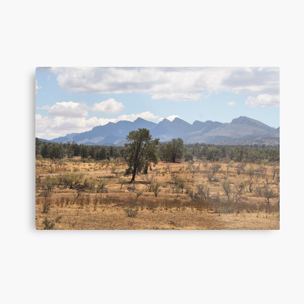 Item preview, Wilpena Pound, Flinders Ranges designed and sold by Carole-Anne.