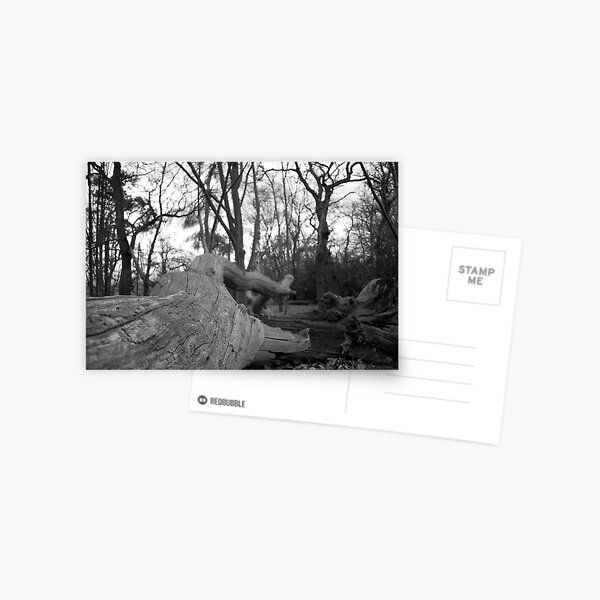 Item preview, Fallen designed and sold by Andrew Dunwoody.